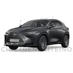 Luxury Class Lexus RX 500h